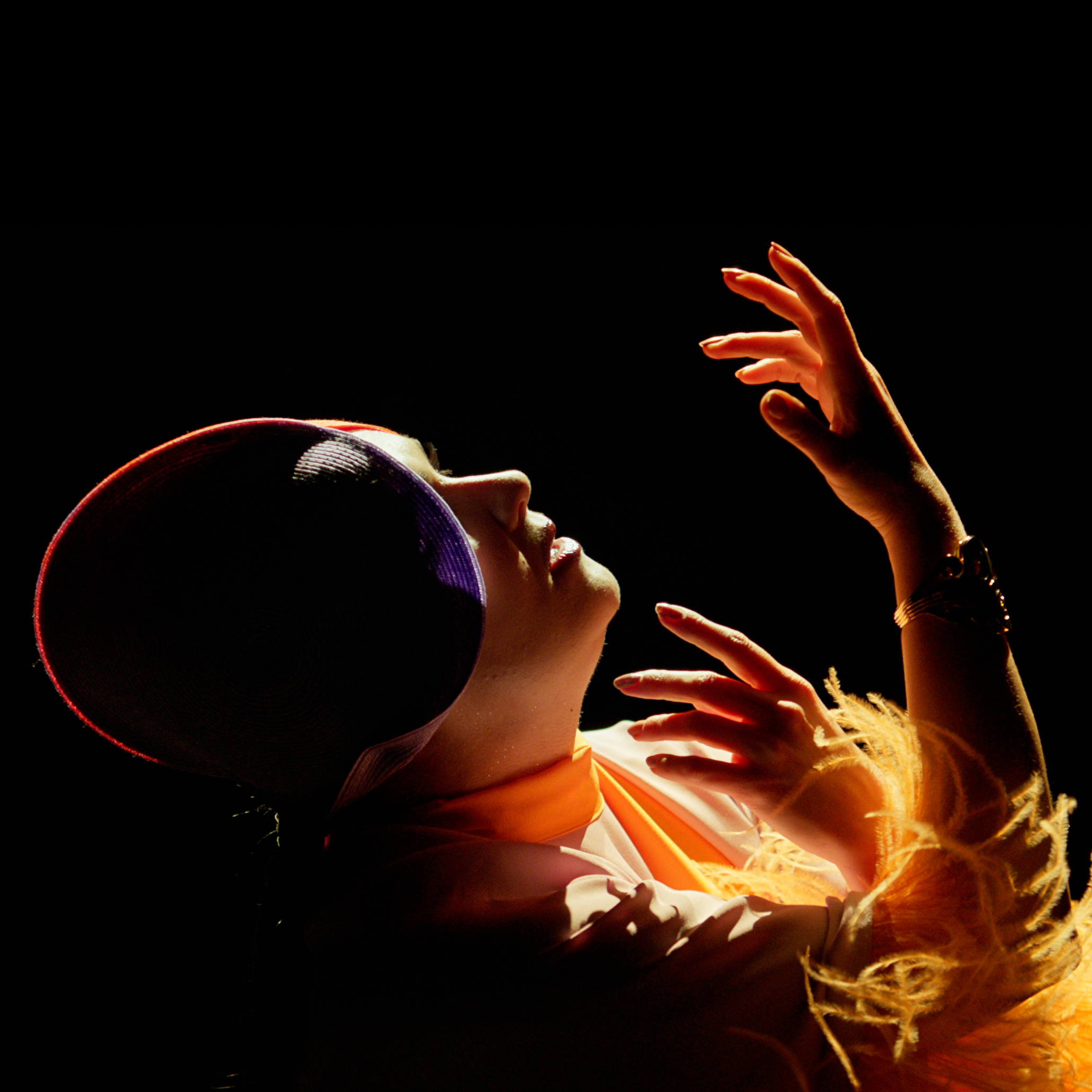 アンナ・ネトレプコの作品 | ステージプラス