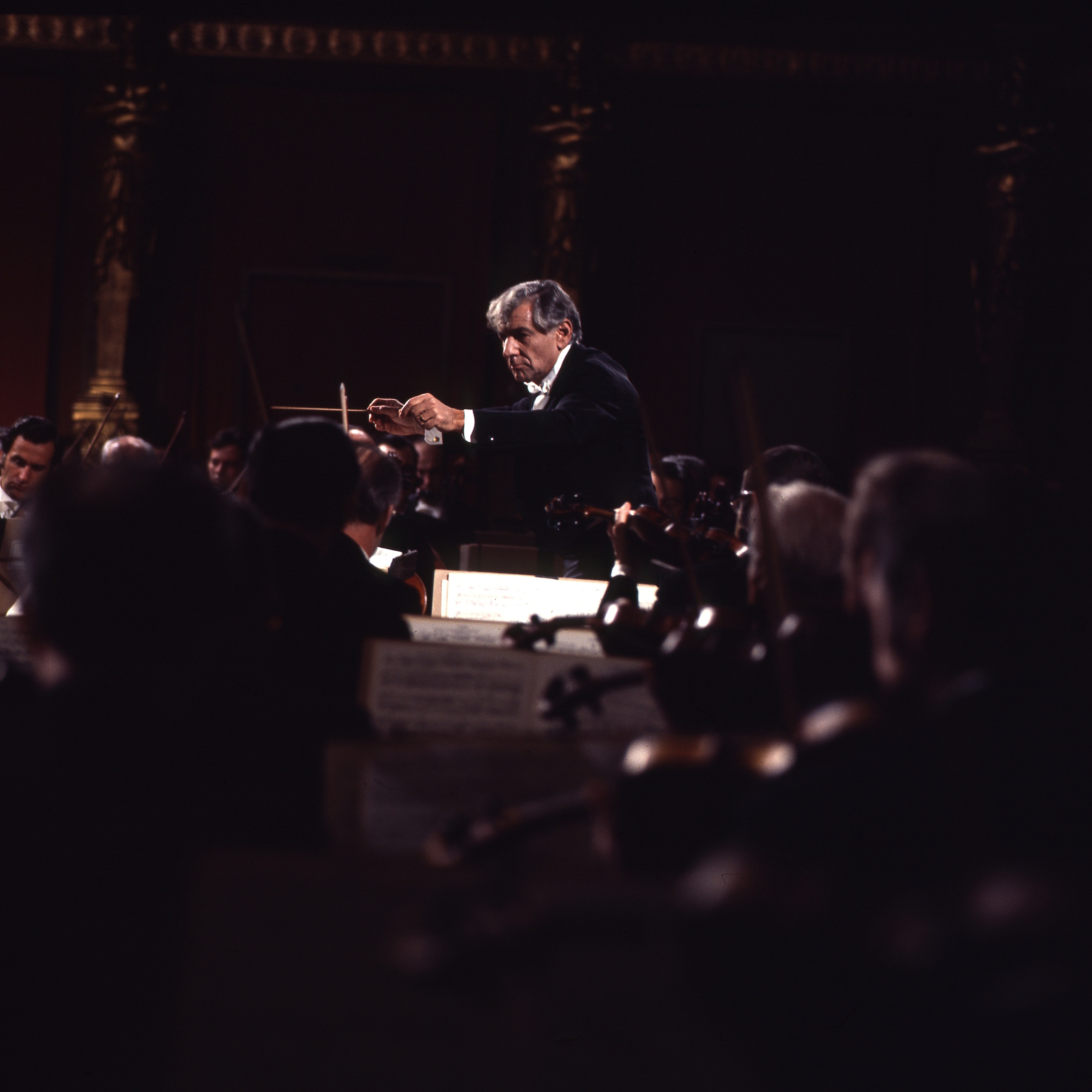 58c5ca45f7f5cc78f795a7ff389547