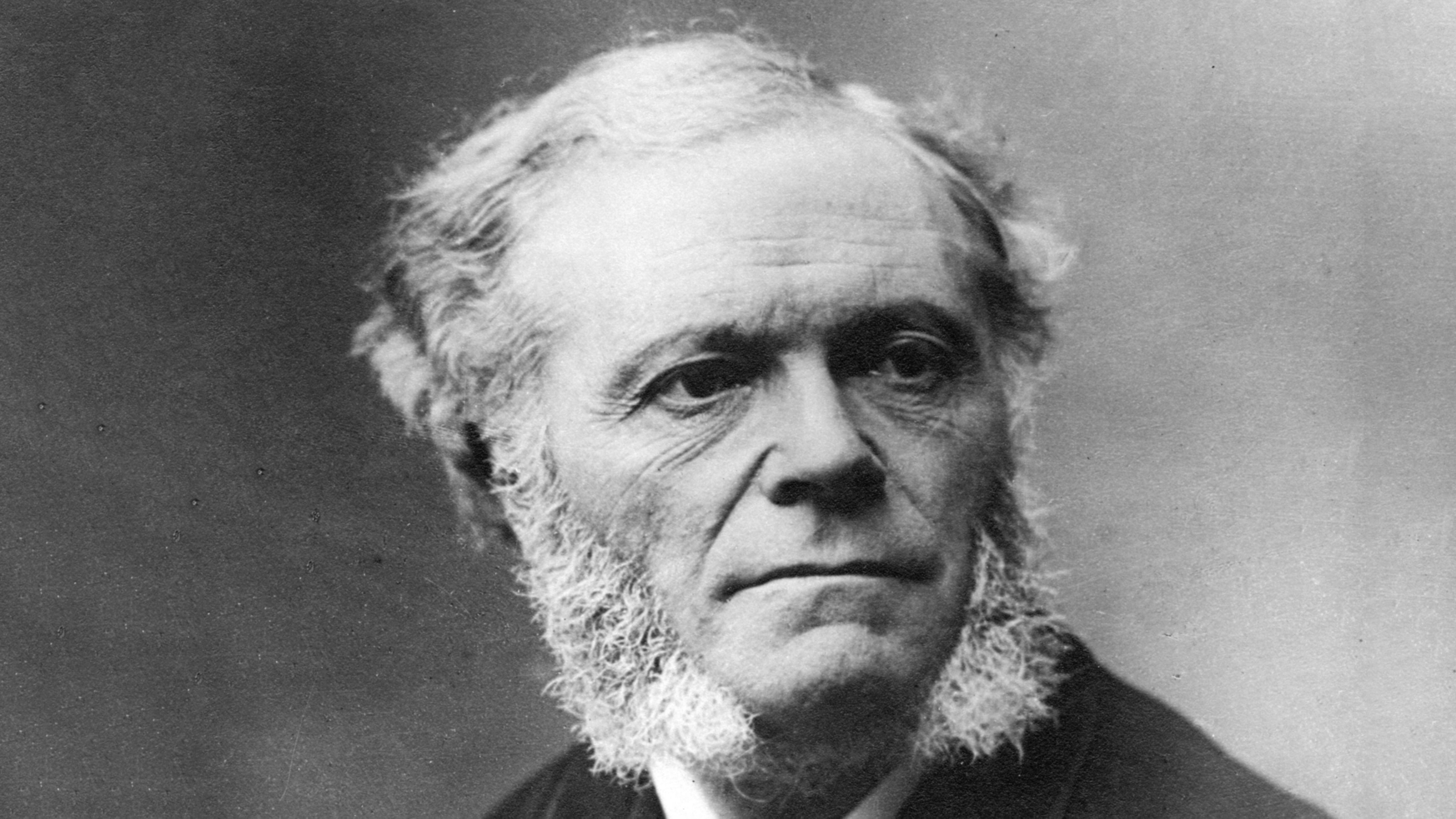 【中古CD】Cesar Franck Edition／Various Artists/Cesar Franck César Franck – César Franck Edition – Box Set 16 x CD, 2022