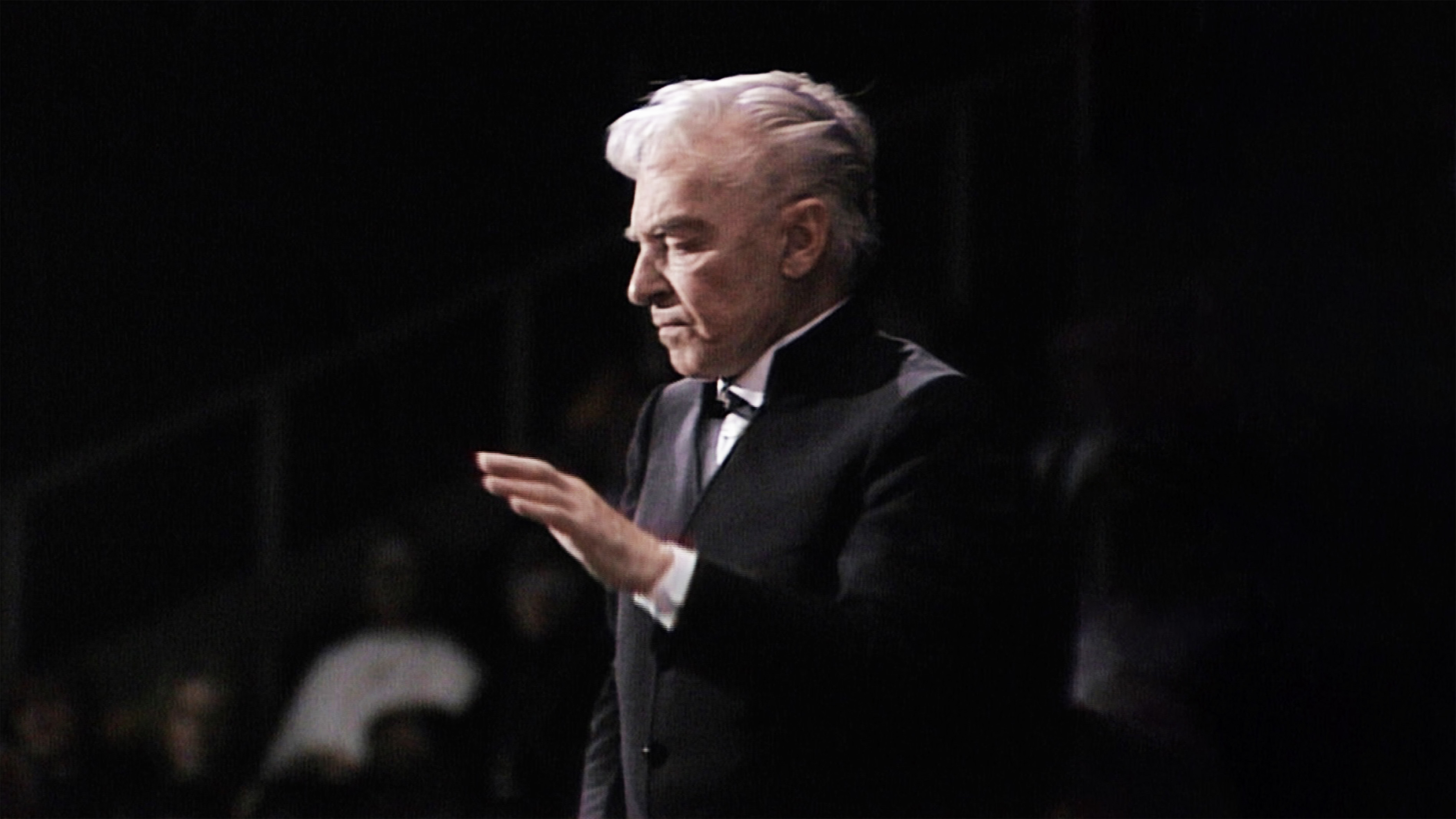 Fascinating works by Josef Strauss | STAGE+